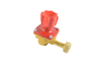 Vanaz Gas Pressure Regulator R2202